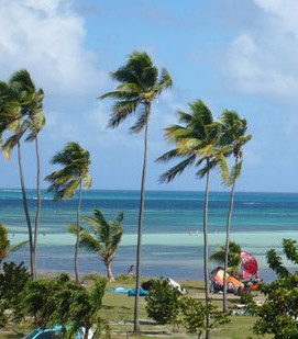 Rent a car Martinique to go to the beach of Pointe Faula